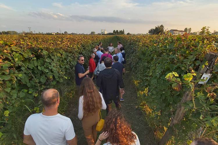 visite-vigna