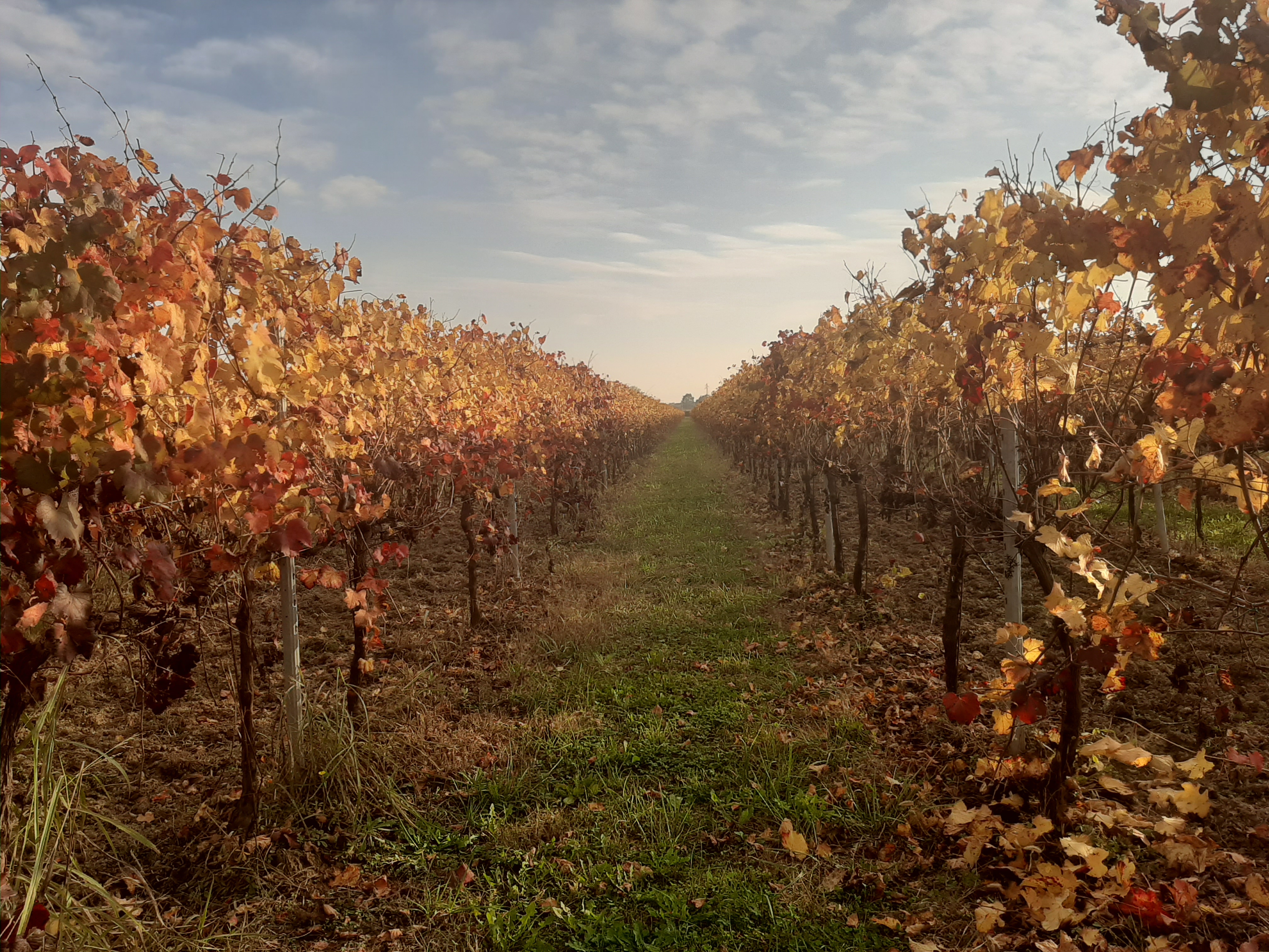 Novembre: tempo del silenzio